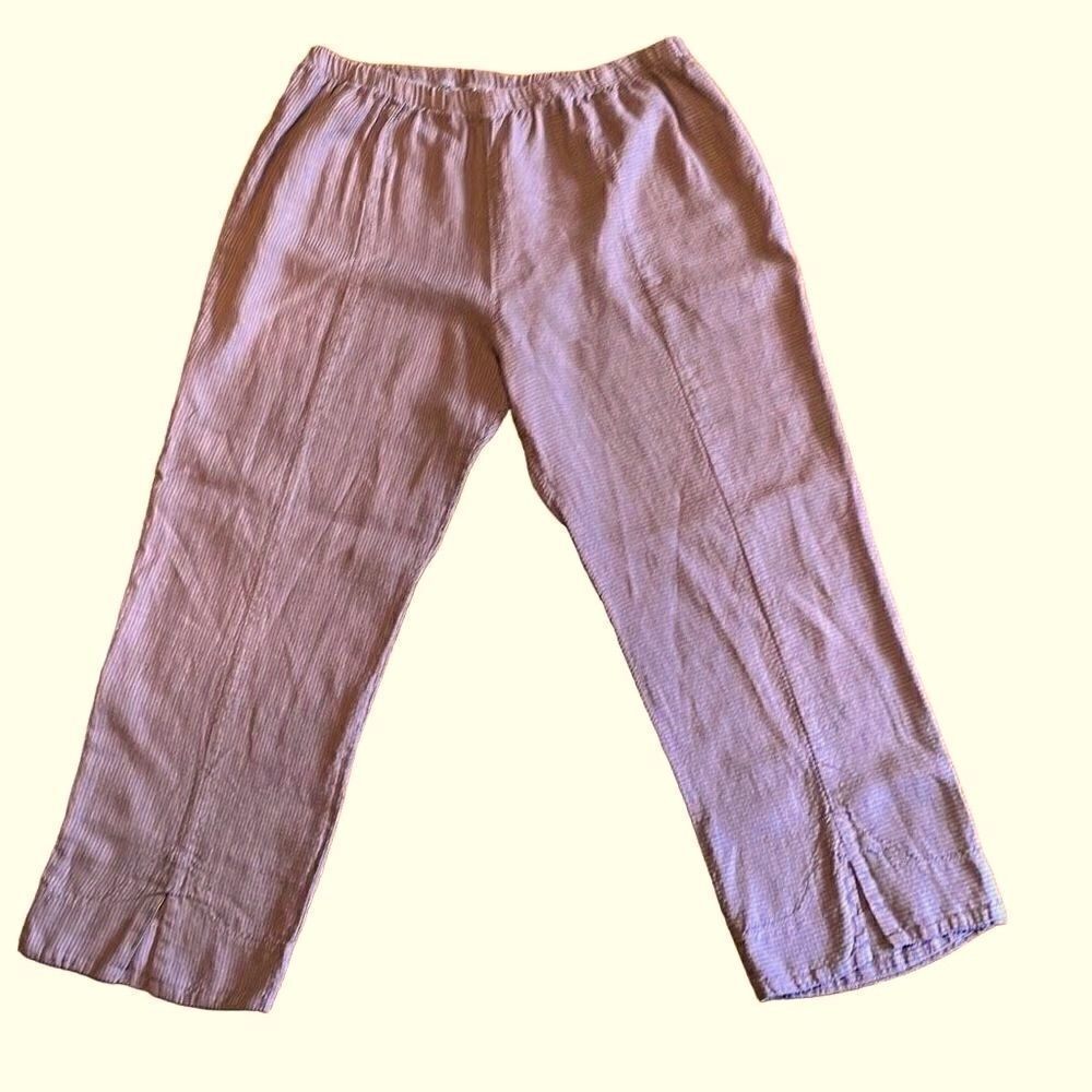 Niche  Nilgun Derman Pixel” neutral check breathable ankle pants XL